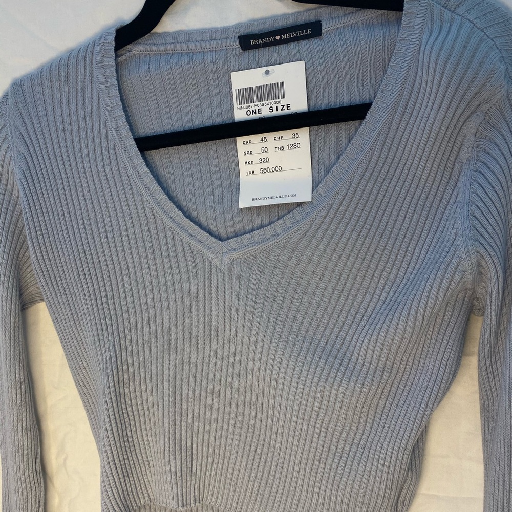 Brandy Melville cardigan in the color periwinkle